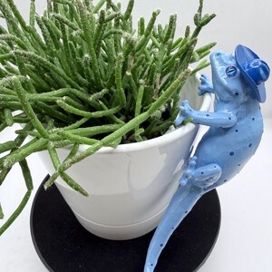Meet “Blueberry Buckaroo!” The Adorable Large Cowboy Hanging Gecko for Potted Plants - Pot Hugger