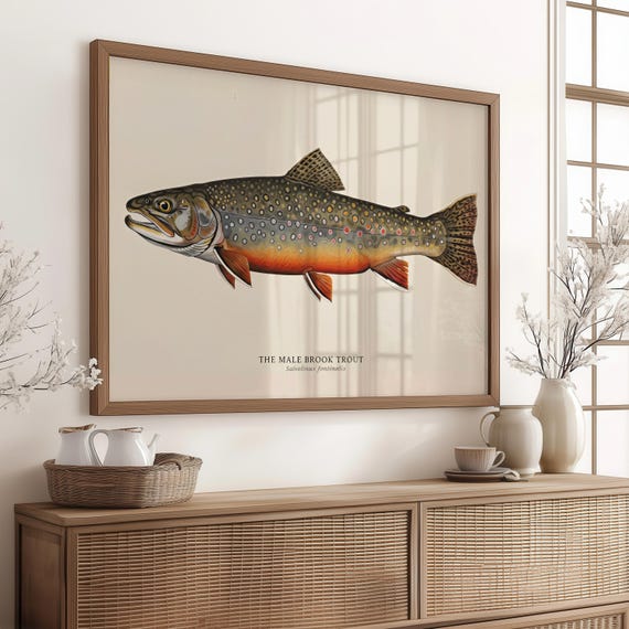 Rustic Trout & Bass Fishing Wall Art Set – 4x8x10 & 3x5x7 Prints For Cabin Or Man Cave