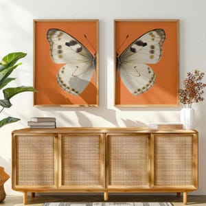 Butterfly Printable Wall Art Set of 2, Butterfly Printable Wall Art, Boho Butterfly Poster Download, Butterfly Wings Art Print