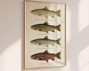 Vintage Trout Fish Art Print | Fishing Decor Gift for Men | Lake House Nature Wall Art | Digital Download