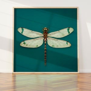 Dragonfly Printable Wall Art, Emerald Green Poster Download, Square Wall Art, Vintage Dragonfly Digital Print, Dragonfly Insect Painting Art