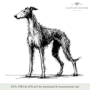 Può includere: Illustrazione in bianco e nero di un cane in piedi su uno sfondo bianco. Il cane è un levriero con un corpo lungo e sottile e un muso lungo e appuntito. Il cane guarda a sinistra dell'immagine.