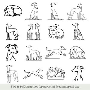 16 images vectorielles PNG et SVG Lévrier / Whippet | Lévrier italien, lévrier, Lurcher Illustration Art contour | Cricut, Silhouette