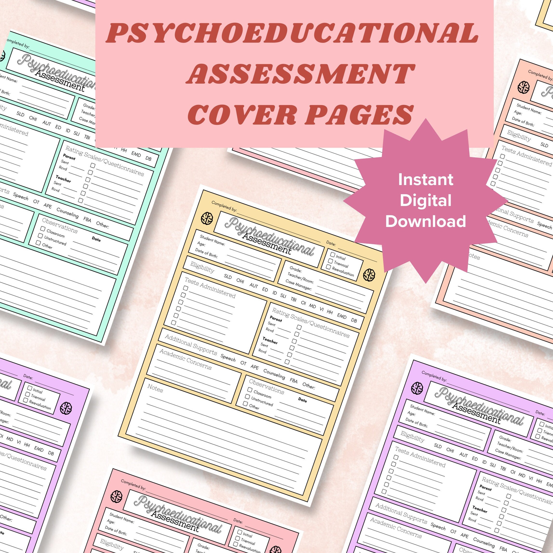 Psychoeducational Assessment Organization Cover Page | School ...