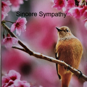Sympathy Card, Sorry for your Loss Card, Condolence Card, Loss of Loved One, Let it Go