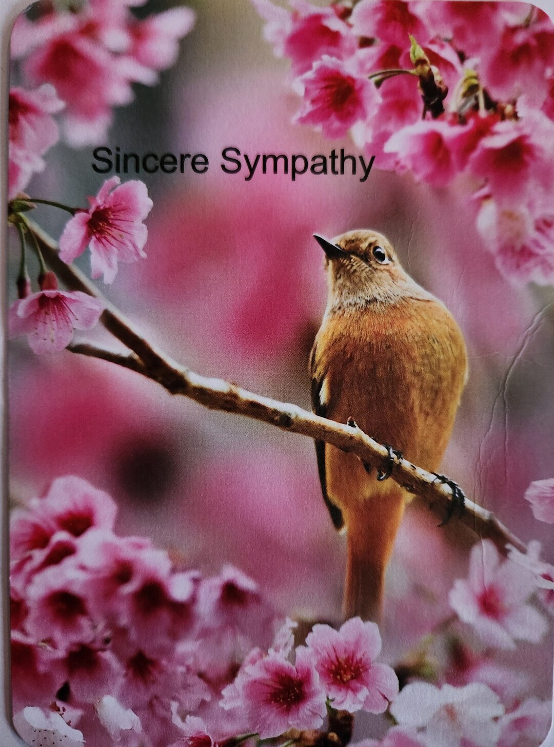 Sympathy Card, Sorry for Your Loss Card, Condolence Card, Loss of Loved