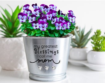 Personalized Metal Planter for Succulents and Home Decor -Great Mother's Day Gift with drainage and saucer, Pencil/Pen/Makeup Brush holder