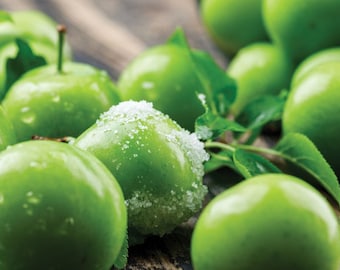 Groene Pruim, 25 stuks van 260 gr. of 12 stuks, 130 gr. Dagelijks vers, uit eigen tuin