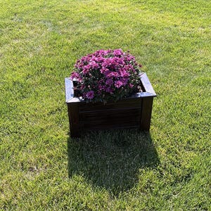 Puede incluir: Una jardinera de madera marrón oscuro llena de vibrantes flores moradas, sobre un fondo de hierba verde. La jardinera tiene forma rectangular con un borde oscuro.