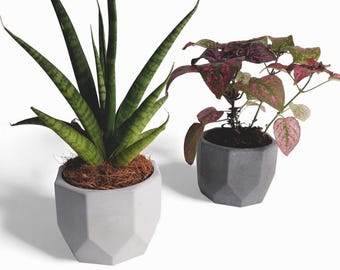 Dilnik - Waterproof concrete planter Ø=10 cm | Flower pot | Planter | Grey & Anthracite | Handworkz