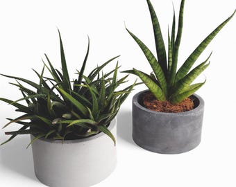 Kukki - Waterproof concrete planter Ø=11 cm | Flower pot | Planter | Grey & Anthracite | Handworkz