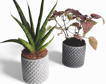 Tuska - Waterproof concrete planter Ø=8 cm | Flower pot | Planter | Grey & Anthracite | Handworkz