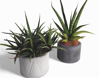 Puodas - Waterproof concrete planter Ø=10 cm | Flower pot | Planter | Grey & Anthracite | Handworkz