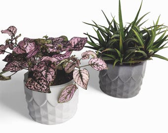 Pinafal - Waterproof concrete planter Ø=10 cm | Flower pot | Planter | Grey & Anthracite | Handworkz
