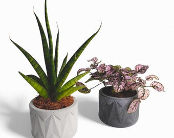 Vazona - Waterproof concrete planter Ø=10 cm | Flower pot | Planter | Grey & Anthracite | Handworkz