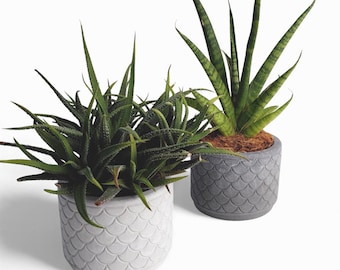 Zoppy - Waterproof concrete planter Ø=10 cm | Flower pot | Planter | Grey & Anthracite | Handworkz