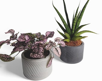 Sukuri - Waterproof concrete planter Ø=10 cm | Flower pot | Planter | Grey & Anthracite | Handworkz