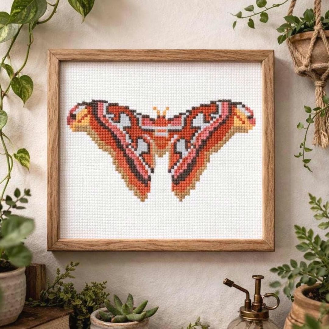 Atlas Moth Cross-stitch Pattern - Etsy