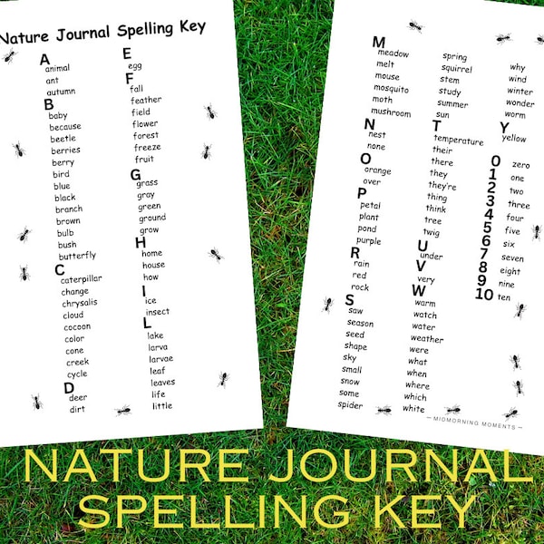 Kindergarten Nature Journal Spelling Key | Homeschool Nature Study Resource