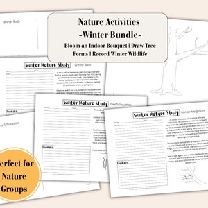 Winter Nature Study Bundle | Forest School Activities | Charlotte Mason Homeschool