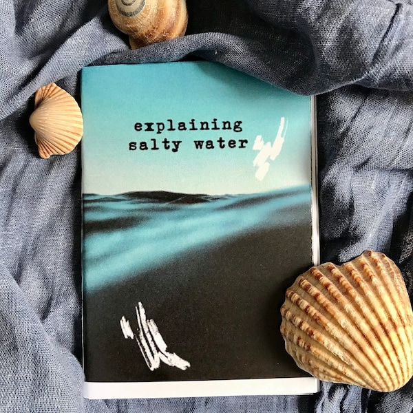 Mini-zine "explaining salty water"