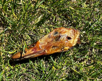 Duck Head Treats for Dogs, Healthy Treats, Duck, Healthy Dog Treats, Organic Treats, No Preservative Dog Treats