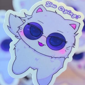 Anime Vinyl Sticker – Sarcastic White Haired Anime Cat – Funny Blindfolded Anime Boy – Waterproof Laptop,Water Bottle Sticker for Anime Fans
