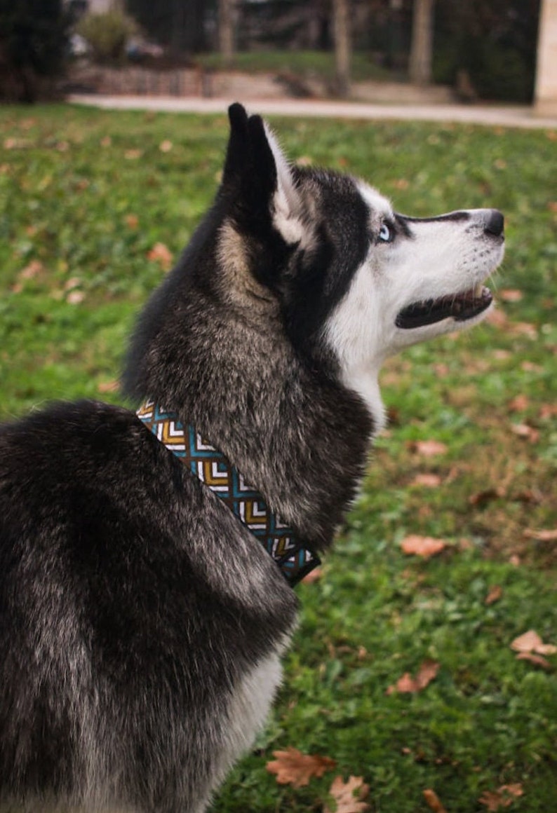 Personalized dog collar / cotton collar / Aztec / dog gift image 3