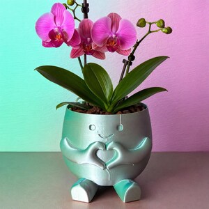 3D Flower Pot or Candy Bowl | Decorative Plant Pot | Color Changing Effect | 3D Printed | Unique Gift | Made in Quebec