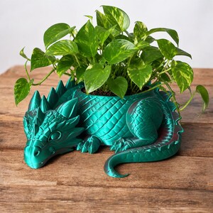3D Printed Dragon Pot | Dragon Planter | Flower Pot | Pencil Holder | Candy Bowl | Fantasy Decoration | Unique Gift | Quebec