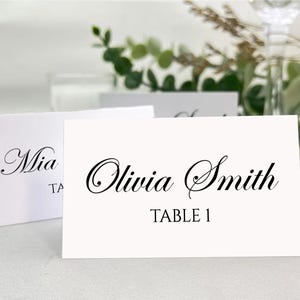 Personalized Wedding Place Cards PRINTED, Wedding Guest Name Cards, Custom Place Cards for Wedding, Birthday, Baby Shower, Business Events