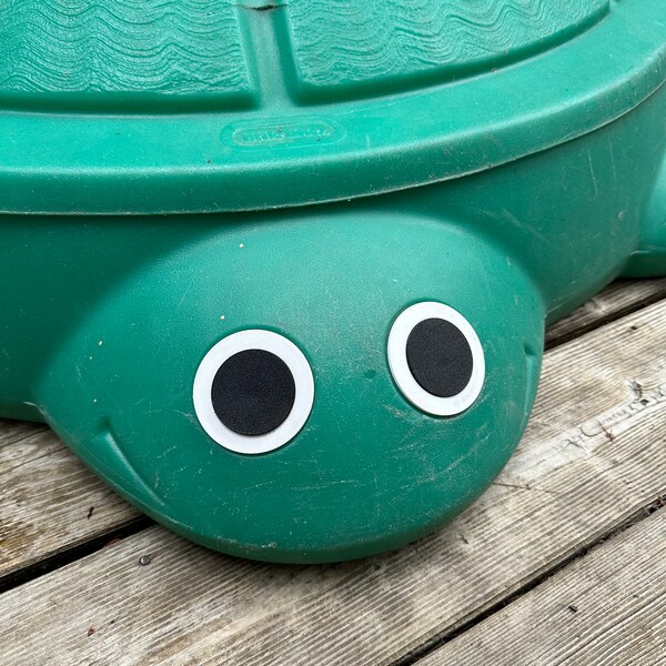 Turtle Eyes Etsy