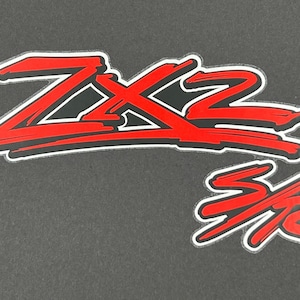 ZX2 S/R Door Decals - Etsy