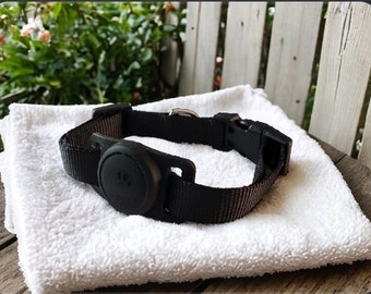 May include: A black dog collar with a brown accent and a round black tracker attached.