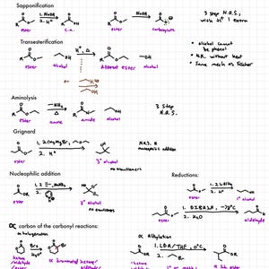 Può includere: Un diagramma di chimica scritto a mano su carta quadrettata, che illustra le reazioni degli esteri. Il titolo "Ester" è in alto, con varie reazioni chimiche e formule, tra cui saponificazione e aminolisi, in inchiostro nero e viola.