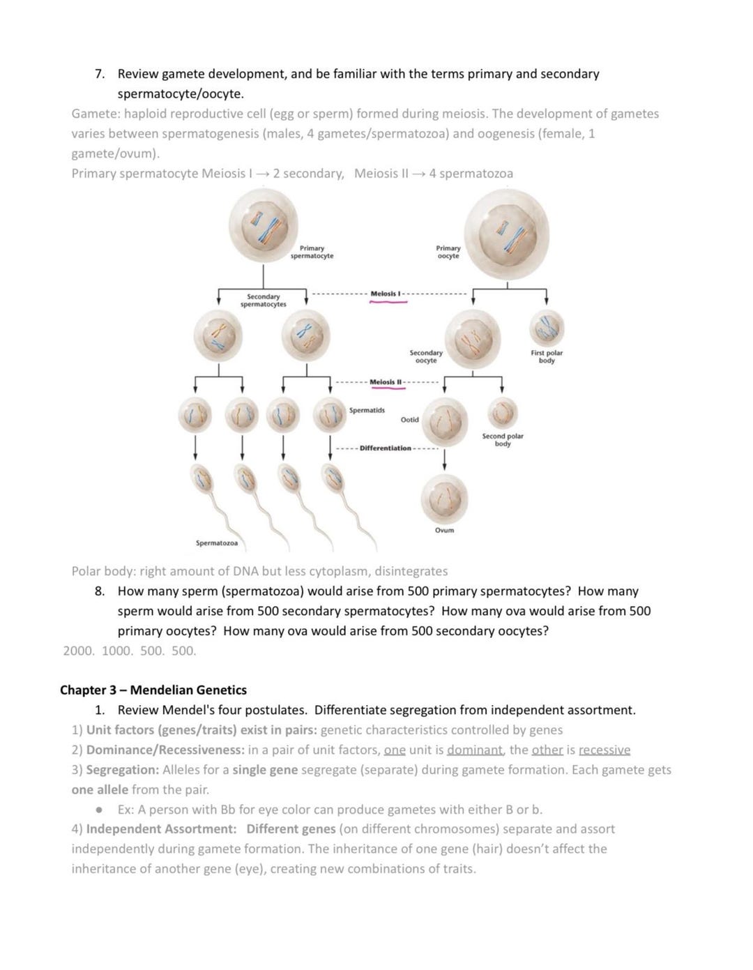 Genetics Full Notes - Etsy