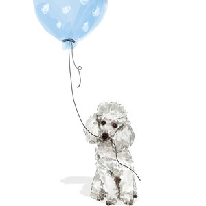 Pudel Hund mit Luftballon Grußkarte
