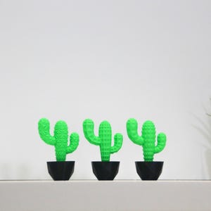 Puede incluir: Tres pequeñas plantas de cactus verdes en macetas negras sobre un estante blanco. Las plantas de cactus están dispuestas en fila.