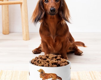 Dachshund de pelo largo / Comedero de acero inoxidable para mascotas