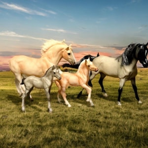 Breyer 2003 Cloud Legacy Andalusian Stallion Foal Mesteno Mare Mustang Foal 1225