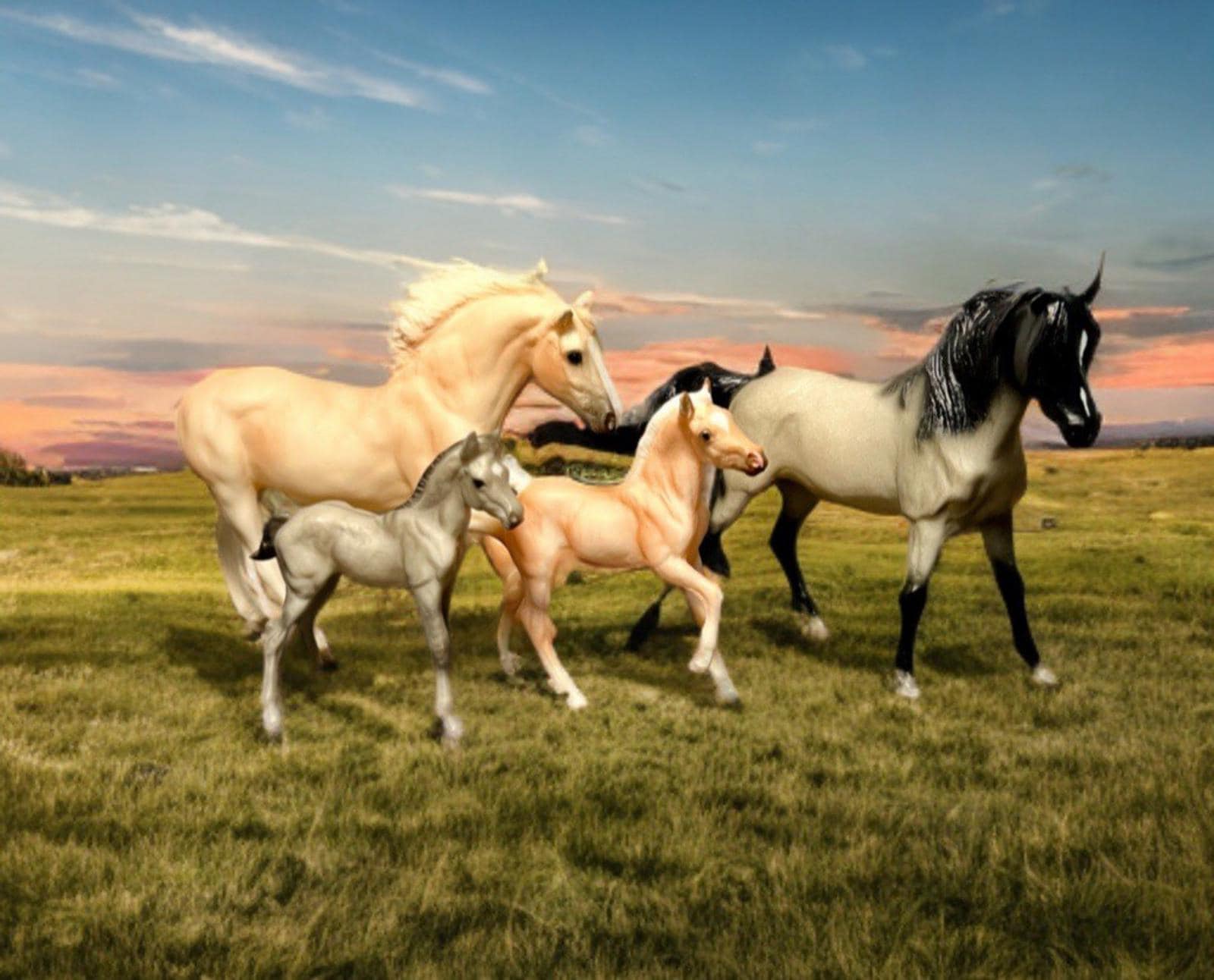 ブレイヤー 2003 クラウド レガシー アンダルシアン スタリオン 仔馬 メステノ 牝馬 ムスタング 仔馬 1225 - Etsy 日本, image size:1600x1292