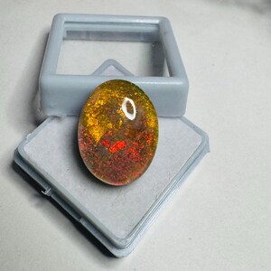 Könnte beinhalten: Ein ovaler Edelstein mit einer lebendigen Mischung aus Gold, Rot und Orange. Der Edelstein befindet sich in einer transparenten Kunststoffbox. Die Oberfläche des Steins hat ein strukturiertes Aussehen, und die Farben verschmelzen zu einem einzigartigen Muster.