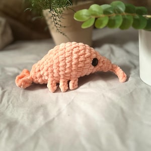 crochet shrimp