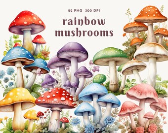 rainbow mushrooms clipart, fungus digital download, png, printable, woodland