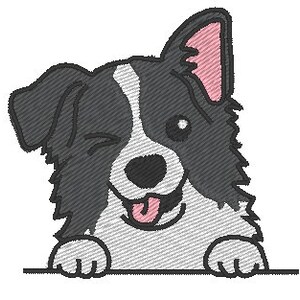 Può includere: Un'illustrazione di un cartone animato di un cane border collie bianco e nero con un orecchio rosa, che fa l'occhiolino e tira fuori la lingua. Il cane sta guardando da sopra una superficie bianca.