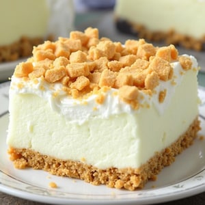 No-Bake Cheesecake Recipe: Creamy, Delicious, Easy (Digital Download)