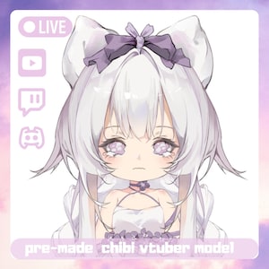 Premade Chibi Live2D Vtuber Model for Streaming - Cute Cat & Fox Girl | Fully Rigged | Ready to Use | Commercial Use