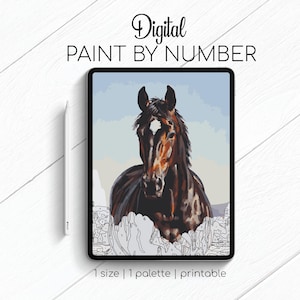 Beautiful Horse - Paint By Number for Procreate - Color By Numbers Digital Kit - Brain Yoga
