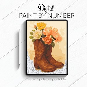 Cowboy Boots - Paint By Number for Procreate - Color By Numbers Digital Kit - Brain Yoga