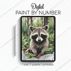 Raccoon - Paint By Number for Procreate - Color By Numbers Digital Kit - Brain Yoga